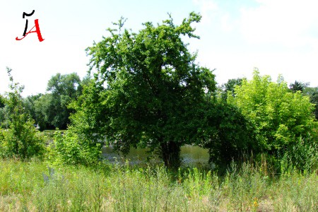 neukölln