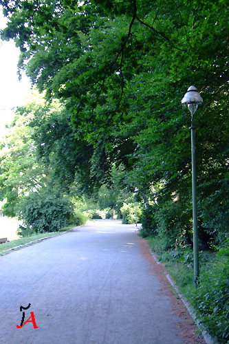 tiergarten