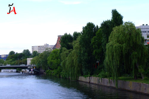 tiergarten