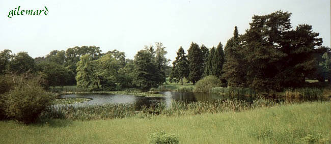 botanischer garten